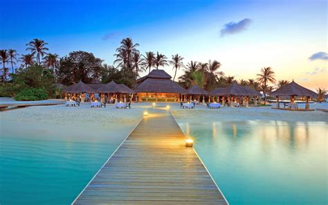 Maldives Dock Island Beach Palm Trees Wallpapers Hd Desktop And
