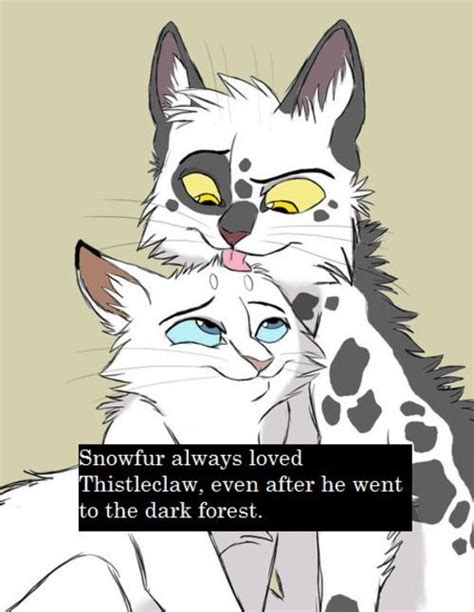 Snowfur And Thistleclaw An Overrated Couple To Most But I Think They