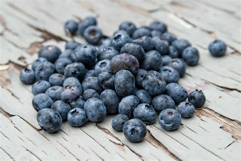 Blueberries—a Fruit Born And Bred In New Jersey Calgo Gardens