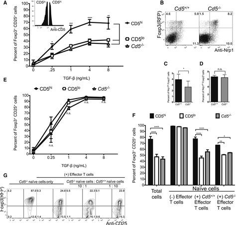 Cd5 Instructs Extrathymic Regulatory T Cell Development In Response To