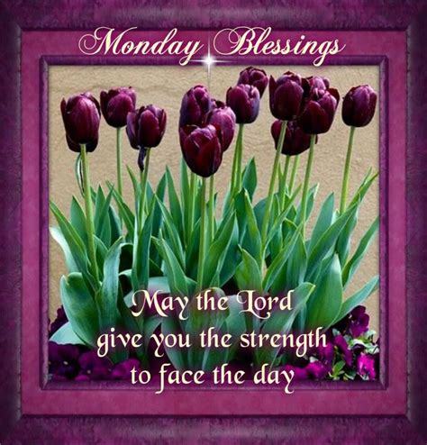 Good Morning Happy Monday I Pray That You Have A Safe And Blessed Day