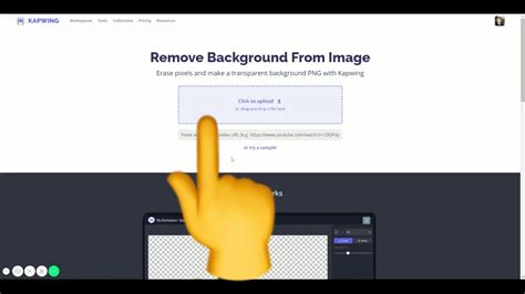 Learn how to download your images before the website goes offline and stored images are lost. Make Photo Transparent: Remove Background Like Magic
