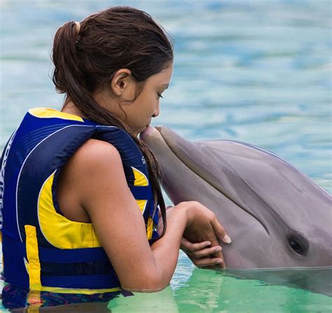 Where To Watch And Swim With Dolphins In Hawaii Hawaii Magazine