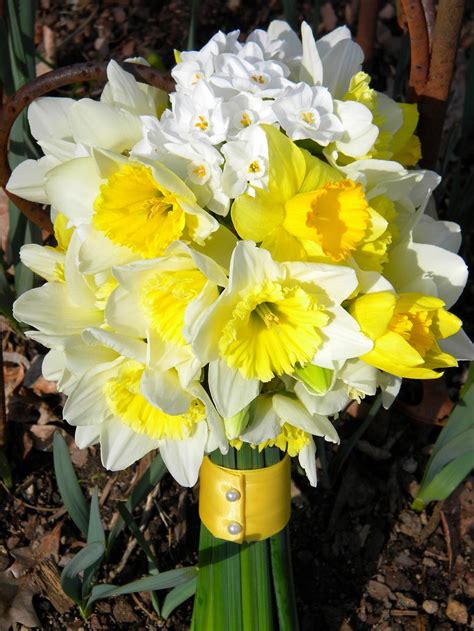 Wedding Flowers From Springwell Daffodils And Springtime Weddings