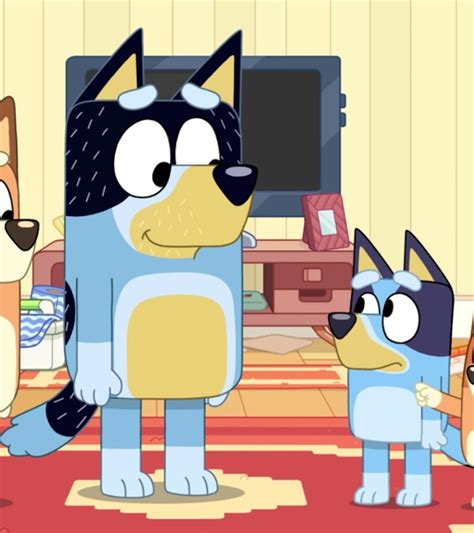 bluey season 4 more episodes are coming