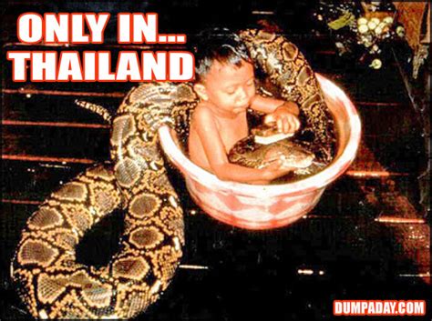 20 funny and bizarre images from thailand that ll make you lol