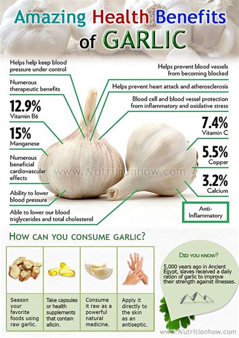 Garlic 7 Proven Health And Therapeutic Benefits