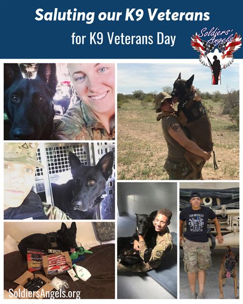 5 K9 Heroes To Honor For K9 Veterans Day Soldiers Angels