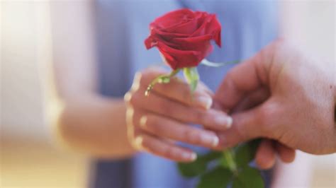 A Man Gives A Red Rose To A Woman Stock Video Footage Storyblocks