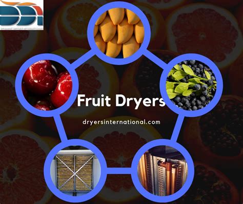 Use The Fruit Dryers To Get Fruits Fresh Every Time Dryersinternational