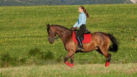 Is Horse Riding Good Exercise Horseback Riding And Health