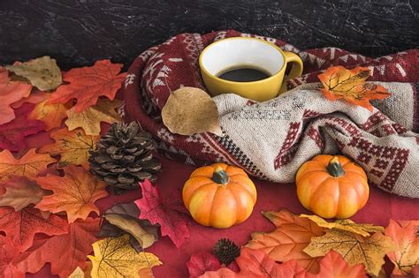 Hd Wallpaper Autumn Leaves Background Tree Coffee Colorful