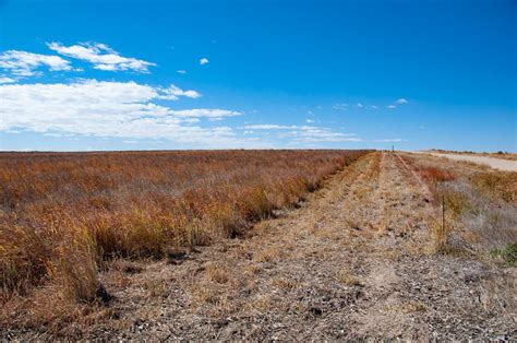158 Acres Of Recreational Land And Farm For Sale In Wallace Kansas