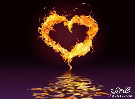 صور قلوب رومانسية اجمل صور القلوب قلوب رومانسية روعة صور قلوب 2020 مريم ملوكة
