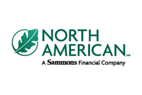 American Life Insurance Company Financial Report