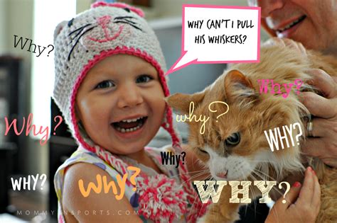How To Respond When Your Child Incessantly Asks Why