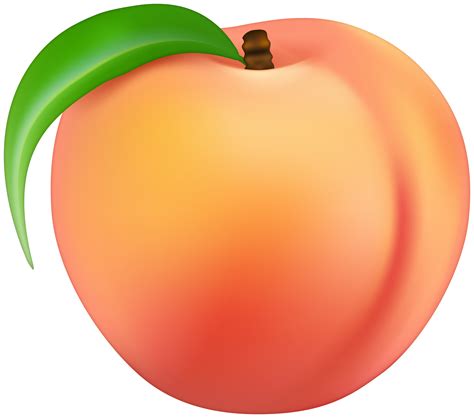Peach Clipart Png 10 Free Cliparts Download Images On Clipground 2022