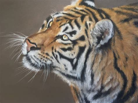 Tiger Portrait Wild Cats Pastel Painting Animals Home Decor Drawing By