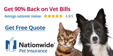 Pet insurance can be an affordable way to lower your pet's medical bills. Nationwide Pet Wellness Insurance review