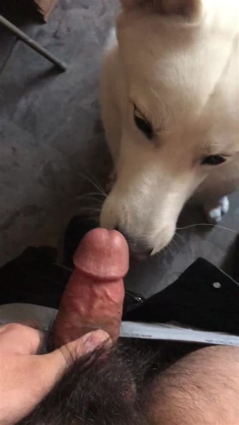 Friends Dog Licks My Cock