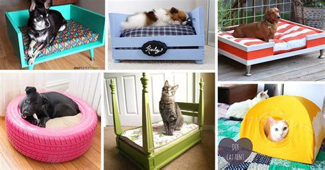 26 Best Diy Pet Bed Ideas And Designs For 2023