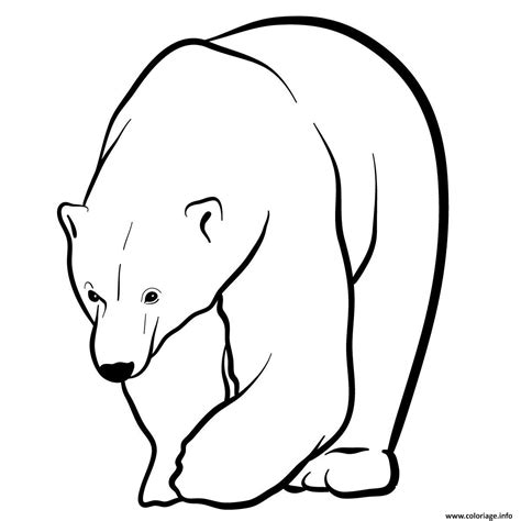 Coloriage Polar Bear JeColorie Com