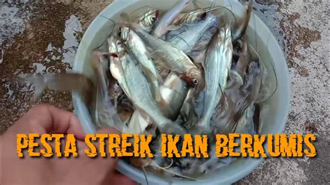 Gokil Spot Ini Jadi Sarang Ikan Berkumis Vlog 013 Youtube
