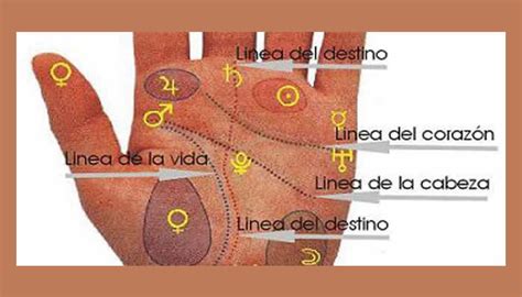 ¿qué Es La Quiromancia Y Por Qué Creer En Ella