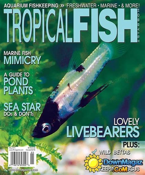 Tropical Fish Hobbyist May 2015 Download Pdf Magazines Magazines