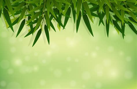 A Green Bamboo Leaf Background 696106 Vector Art At Vecteezy