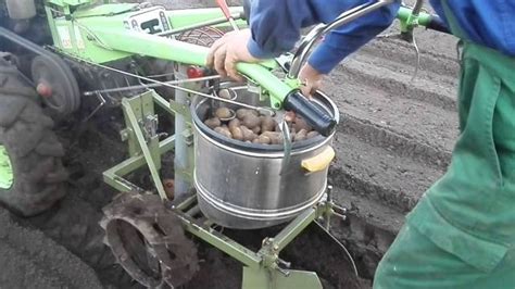 Planting Potatoes Under A Walk Behind Tractor Healthy Food Near Me