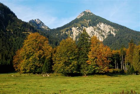 Fondos De Pantalla Montañas Austria Bosques Fotografía De Paisaje Alpes
