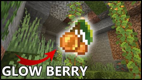 How To Use GLOW BERRIES In MINECRAFT 1.18 