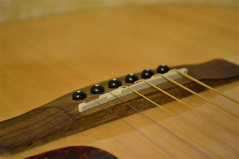 Different Types Of Bridges For Acoustic And Electric Guitars