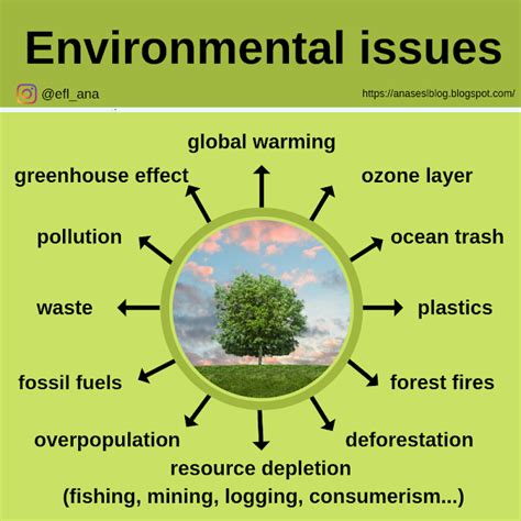 Anas Esl Blog Environmental Issues