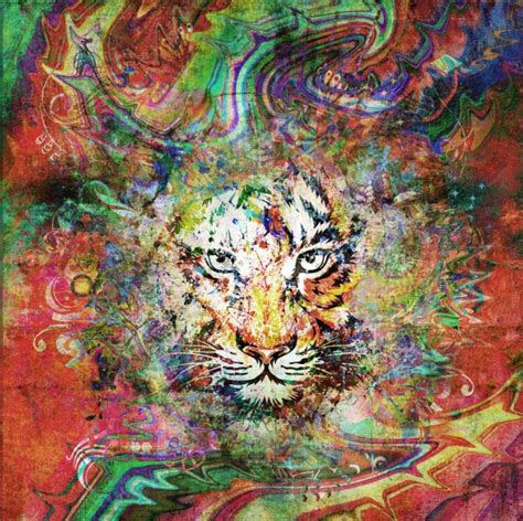 Tiger Poster — Stock Photo © Valik4053022 46407399