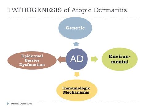 Atopic Dermatitis Eczema Dr Trynaadh
