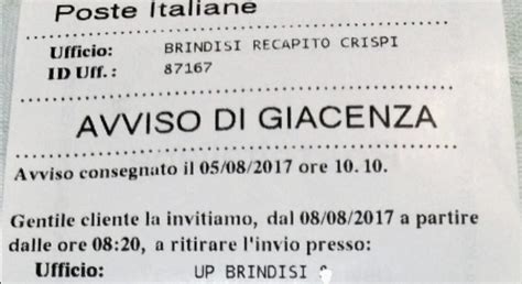 Sciarpa Composizione Pelle Nexive Raccomandata Ricerca Difettoso