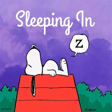 Pin By Lea On Peanuts Snoopy Cartoon Snoopy Sleeping Snoopy Pictures