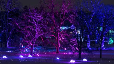 2022 Illumination Tree Lights At The Morton Arboretum On Vimeo