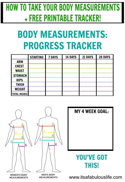 Free Fitness Body Measurement Chart Template Printable Templates