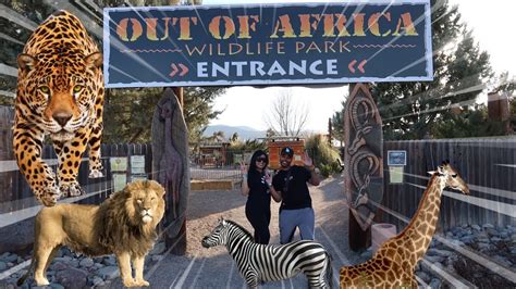 Last Minute Trip Vlog We Went To The Zoo Must Watch Youtube