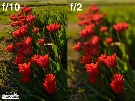 How Aperture Affects Your Photos The Digital Process