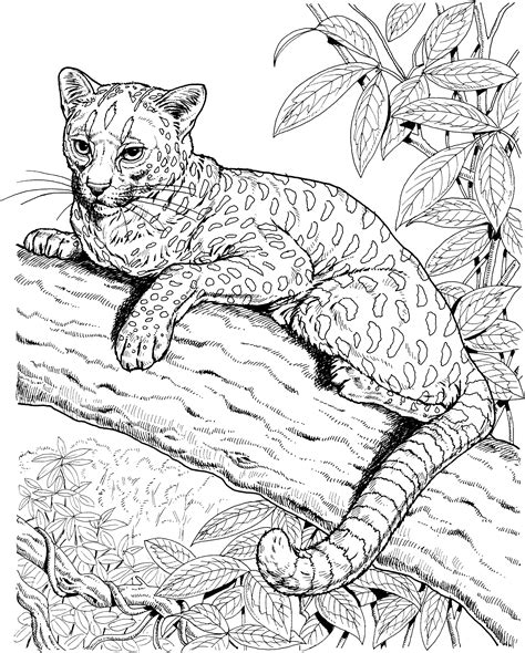 Realistic Wild Animal Coloring Pages Coloring For Kids