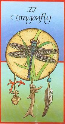 Meaning of the native american animal snake medicine cards. Medicine Card #27 ~ Dragonfly breaks illusions, brings visions of power, no need to prove it ...