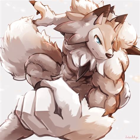 I M More Of A Fan Of Bara Midday Lycanroc To Be Honest With You Bara