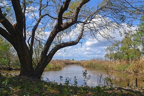 25 Map Of The Waccamaw River Maps Online For You