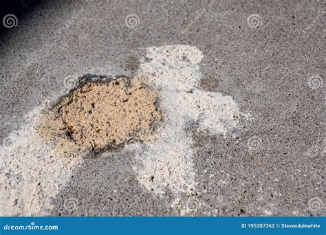 Filled In Mud Jacking Drilled Holes In Concrete Pavement Stock Photo