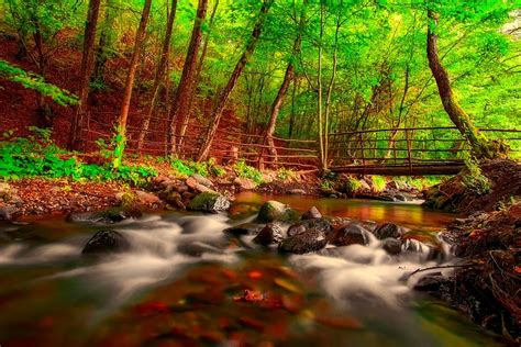 Landscape Stream Creek Free Photo On Pixabay Pixabay