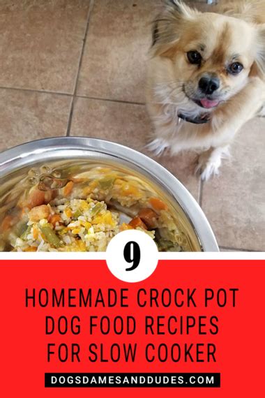 9 Homemade Crock Pot Dog Food Recipes For Slow Cooker